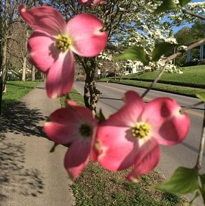Meet your Posher, Deborah